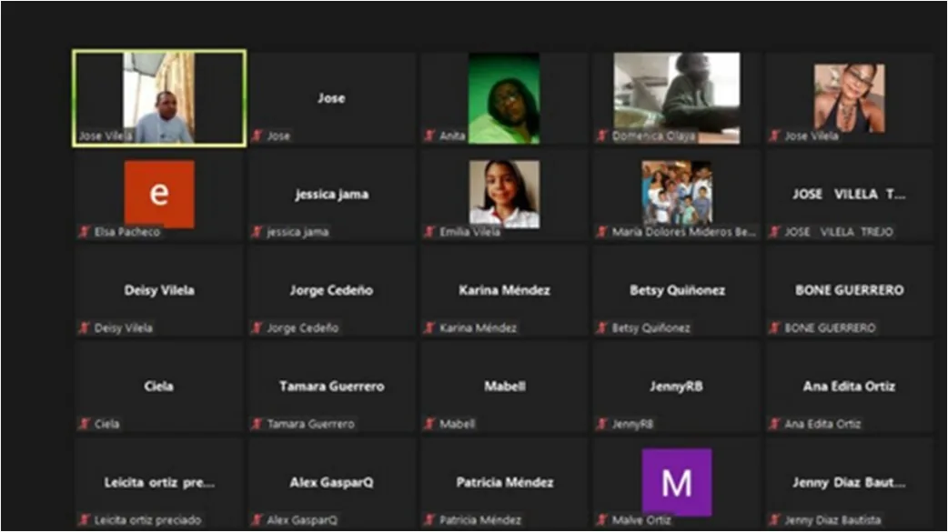 Sesión en línea de MULTICAP con los participantes en videollamada